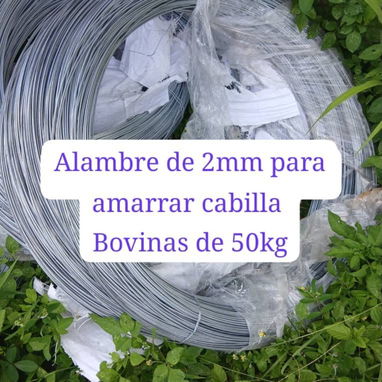 Cabillas de acero. - 4/4