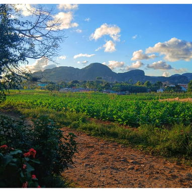 Habitación económica en Viñales para 4 personas – Precio desde 15 USD – Paneles solares incluidos - Img 119630297