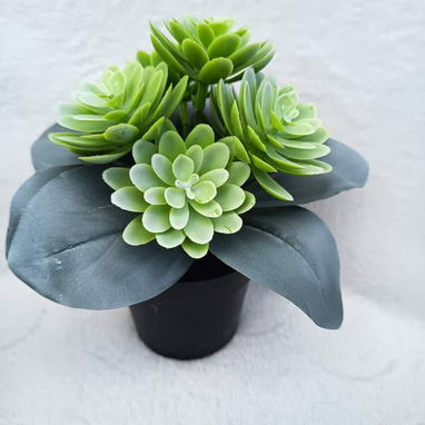 Planta artificial decorativa_cv - Img 121014121