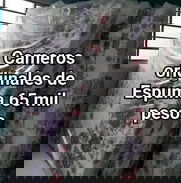 Buenas ofertas de colchones - Img 49250040