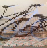 Bicicleta Raly - Img 49567778