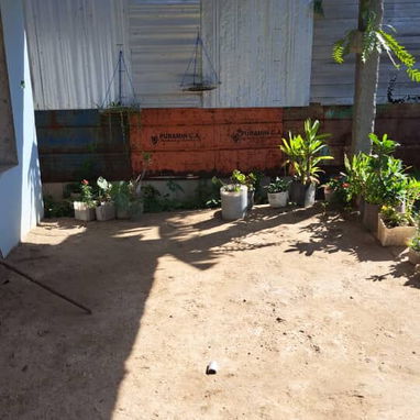 Venta de casas - Img 124385765