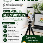 Oferta de Empleo - Img 57292100