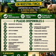 Ofertas de empleo!!! - Img 57173714