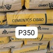 Cemento gris - Img 46166431