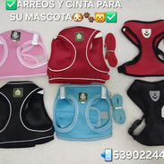 ✅️ARREOS Y CINTA PARA PERROS✅️📲53902244 - Img 55026007