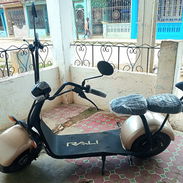 Rali jj3 - Img 54715535