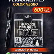 Plumones negros permanentes - Img 55283943