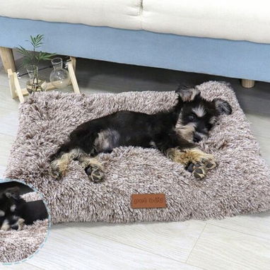 Collares y correas para perros - Img 124250877