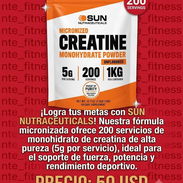 Creatina monohidratada - Img 50811395