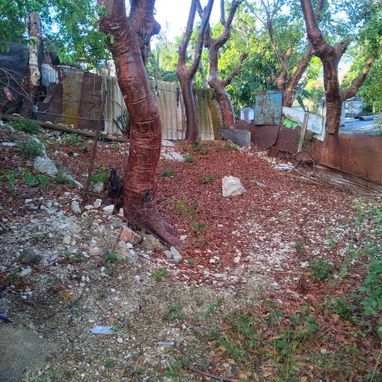 *REBAJADA A $36.000usd CASA CON CARRO. (SE PUEDE VENDER X SEPARADO) IMPORTANTE:  CIRCUITO PRIORIZADO - Img 123043382