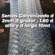 Serc Perles - Img 54774448