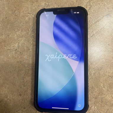 iPhone 13 Pro Max casi nuevo - 5/10
