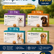 Simparica para los pesos desde 2.5kg hasta 40kg en 13USD cada 1, soy del centro del Cotorro - Img 56643639