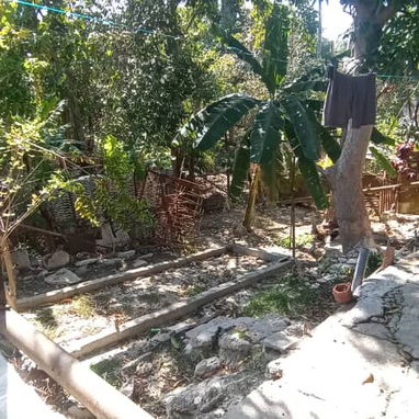 Vendo finca en Lawton - Img 125894510