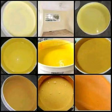 Pintura Vinil acrílica para interior y exterior ,,antihumedad - 6/9