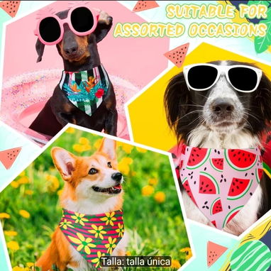 Pañoletas Decorativas para Mascotas - 2/5