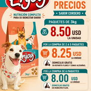 Pienso para perros - Img 56353291