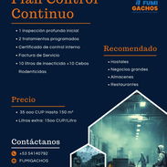 Fumigación- Control de plagas- Chinches para Paladares y Almacenes - Img 54062952