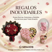 Roses & Gifts in Havana | Zelle | Delivery - Img 53708341