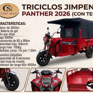 Triciclo JIMPENG Panther 2026 (con techo) - Img 57144665
