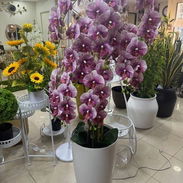 Búcaro Blanco con Orquídeas Grandes - Img 55418412