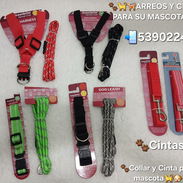 ARREOS Y CINTAS PARA PERROS✅️📲53902244 - Img 55025942