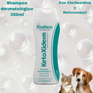 Shampoo dermatológico para perros y gatos - Img 56041005