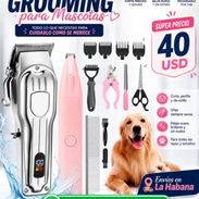 Grooming para mascota - Img 57663838