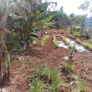 Venta de casa en el campo con vaste tierras(1 hectaria) papeles en regla - Img 124358735