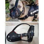 Bozales para perros - Img 57518653