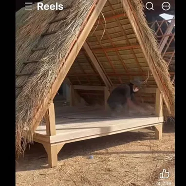 Contruccion de ranchones de madera y yuraguano - 9/10