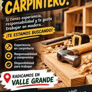 Buscamos carpinteros - Img 57372480