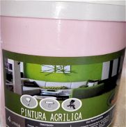 Pintura acrílica sellada para exteriores e interiores rosada de 4L. 56919680 - Img 45808116