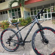 Bicicleta Rali A1 - Img 56833967