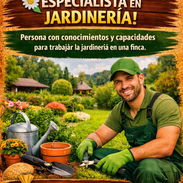 Se oferta empleo - Img 58083679