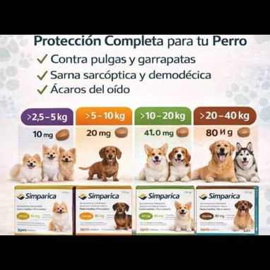 Tienda para mascotas - 7/10