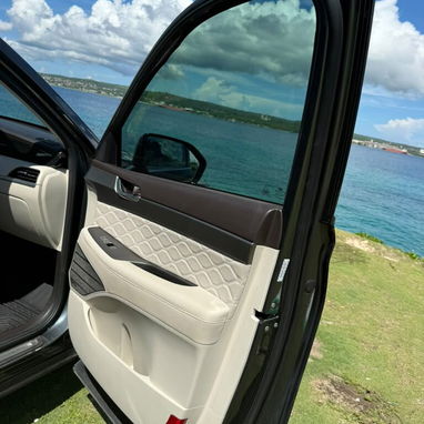 Hyundai palisade 2020 limited en venta - 8/10