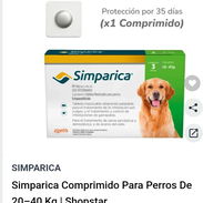 Simparica de 20 a 40 kg - Img 55752867