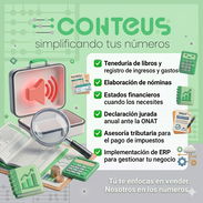Tenedor de libros-Servicios contables para TCP - Img 54718022
