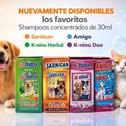 Shampoo para todo tipo de perros - Img 55669193