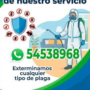 Fumigador - Img 53837437