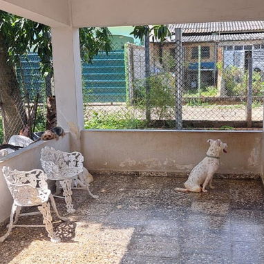 Casa independiente santiago de las vegas X LA TERMINAL DE GUAGUA OFERTA 2 CUARTO TERRAZAS - 8/10