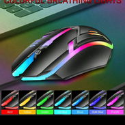 Mouse RGB - Img 57934073