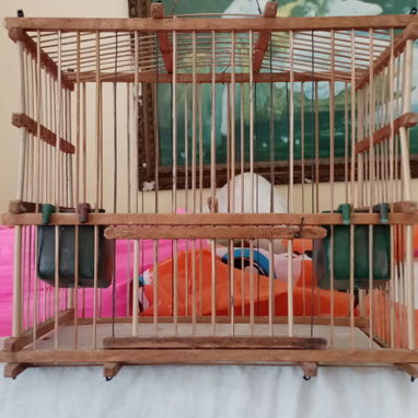 para aves - Img 123235947