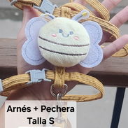 Correas para Mascotas - Img 56433543