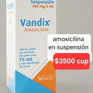 Vandix (Amoxicilina en Suspensión) - Img 56269721