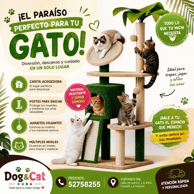 RASCADORES PARA GATOS 🐱  DOG&CAT - Img 123828842
