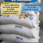 🌾Harina IMSA y 🧁Molinera blanca🌾 - Img 56211153