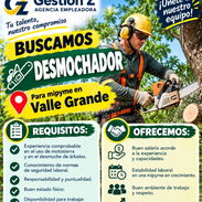 Se busca desmochador - Img 57753506